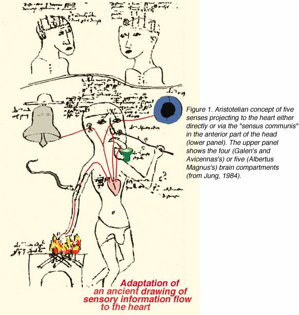 Aristotle Heart Centric Philosophy