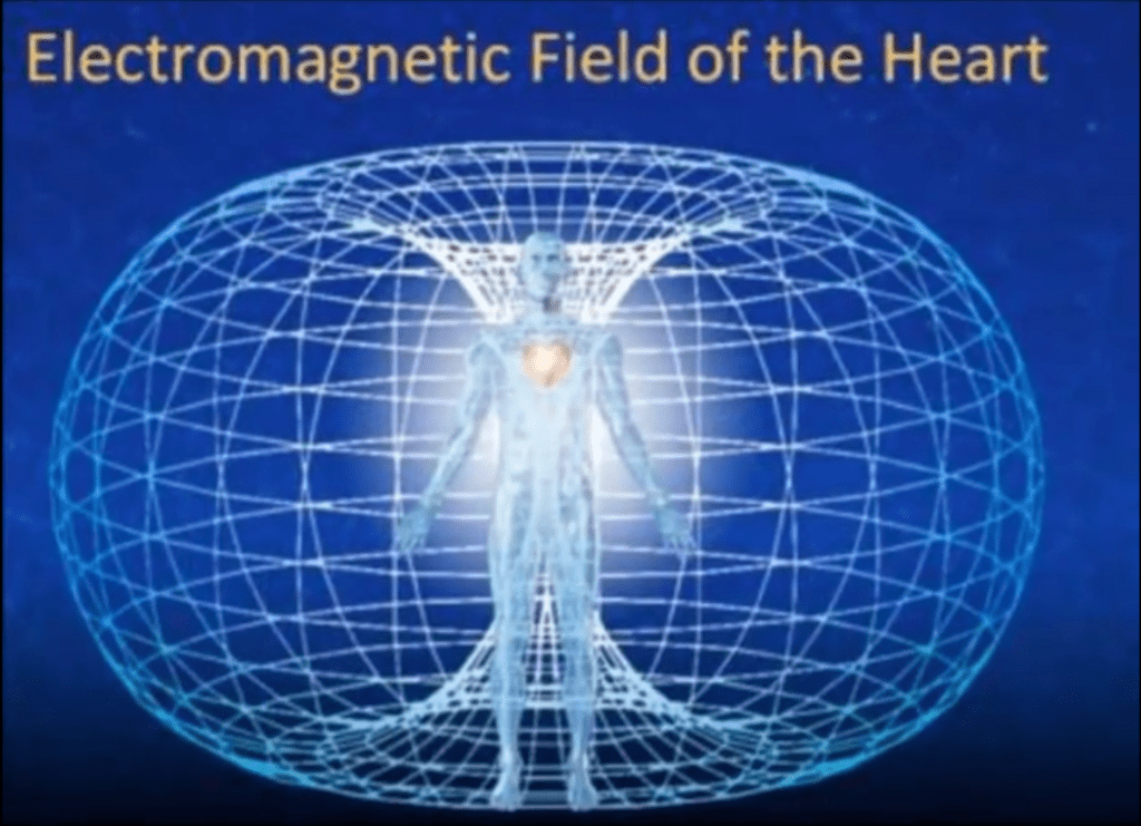 electromagnetic field of the heart