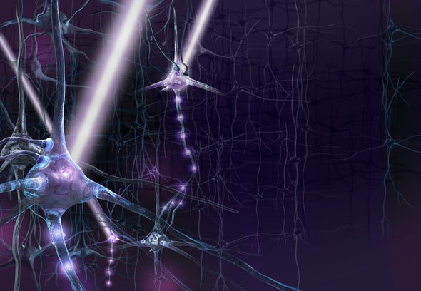 Neuroplasicity - Laser Light to Heal the Brain