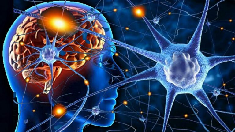 Neuroplastic Brain Neuron Harness the power