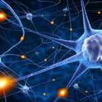 Change Your Brain, Change Your Life
