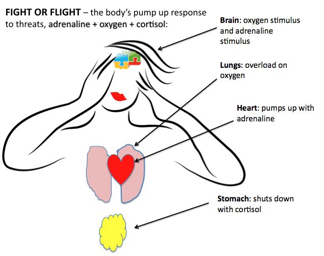 neuroplastic Fight or Flight
