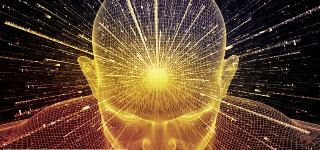 How Our Emotions Organize Our Environment