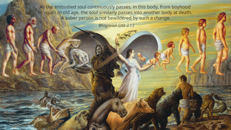 You are currently viewing Is There Evidence of Reincarnation?