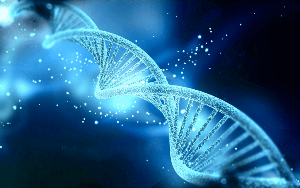DNA Teleported