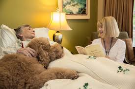 hospice