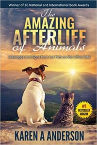 pets go to heaven