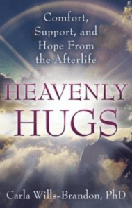 heavenly hugs willis-brandon