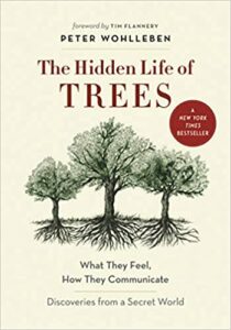hidden life of trees