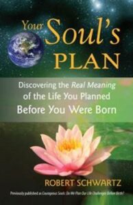 meaning of life reincarnation
