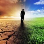 What is the Sixth Mass Extinction?