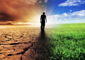 what are the impacts of climate change