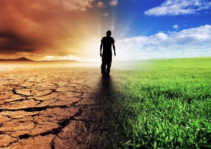 what are the impacts of climate change