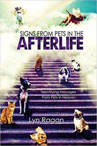 signs from pets in the afterlife
