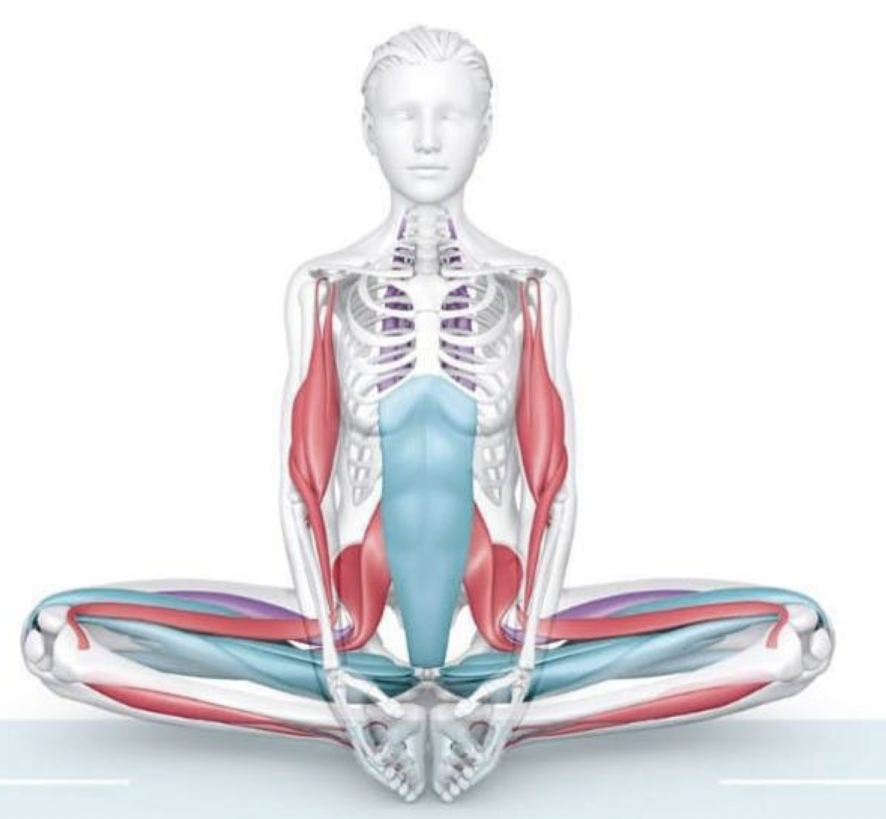 Health Benefits of Yoga (Part 2 of 2 The Science of Yoga ...
